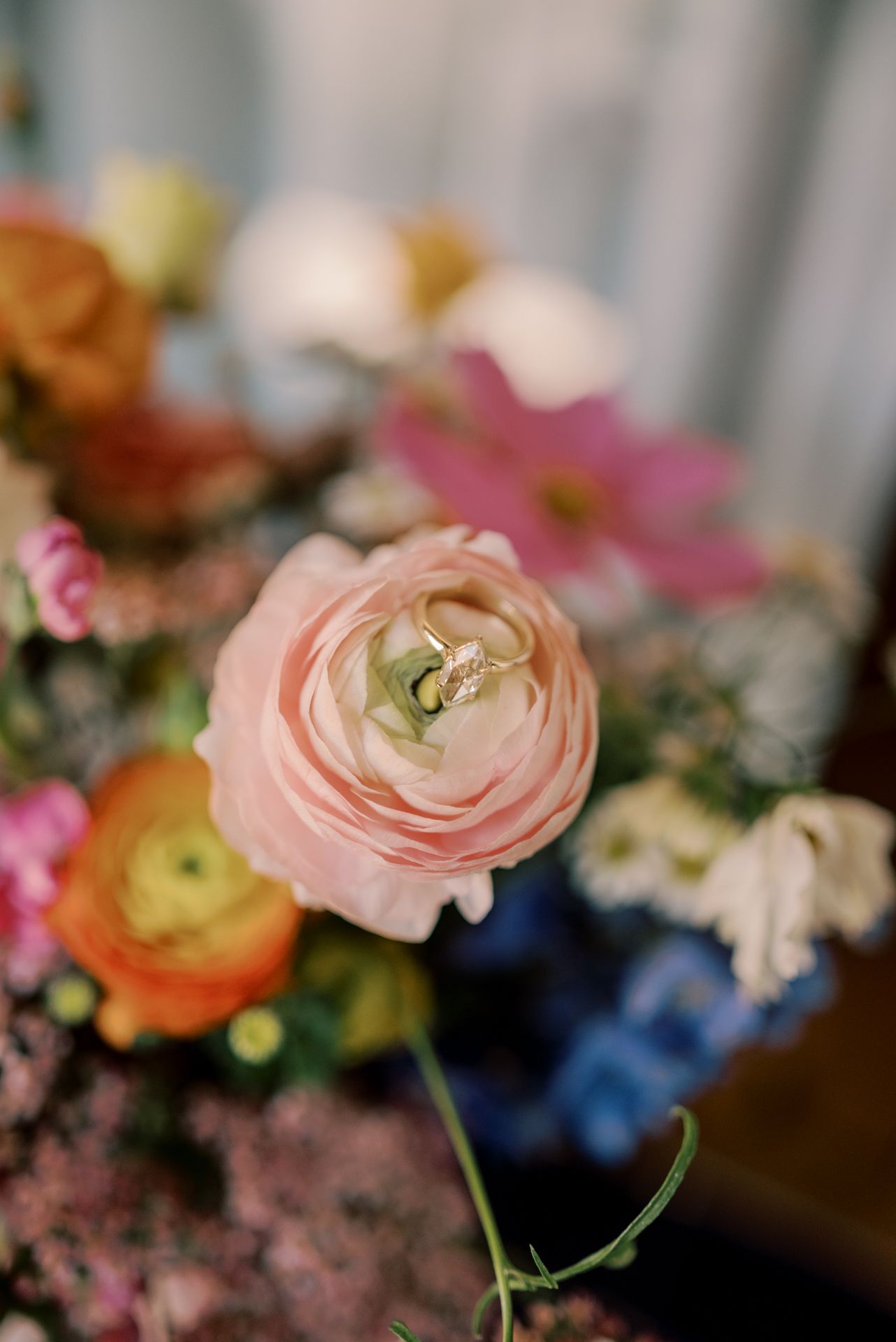 Colorful Whimsy